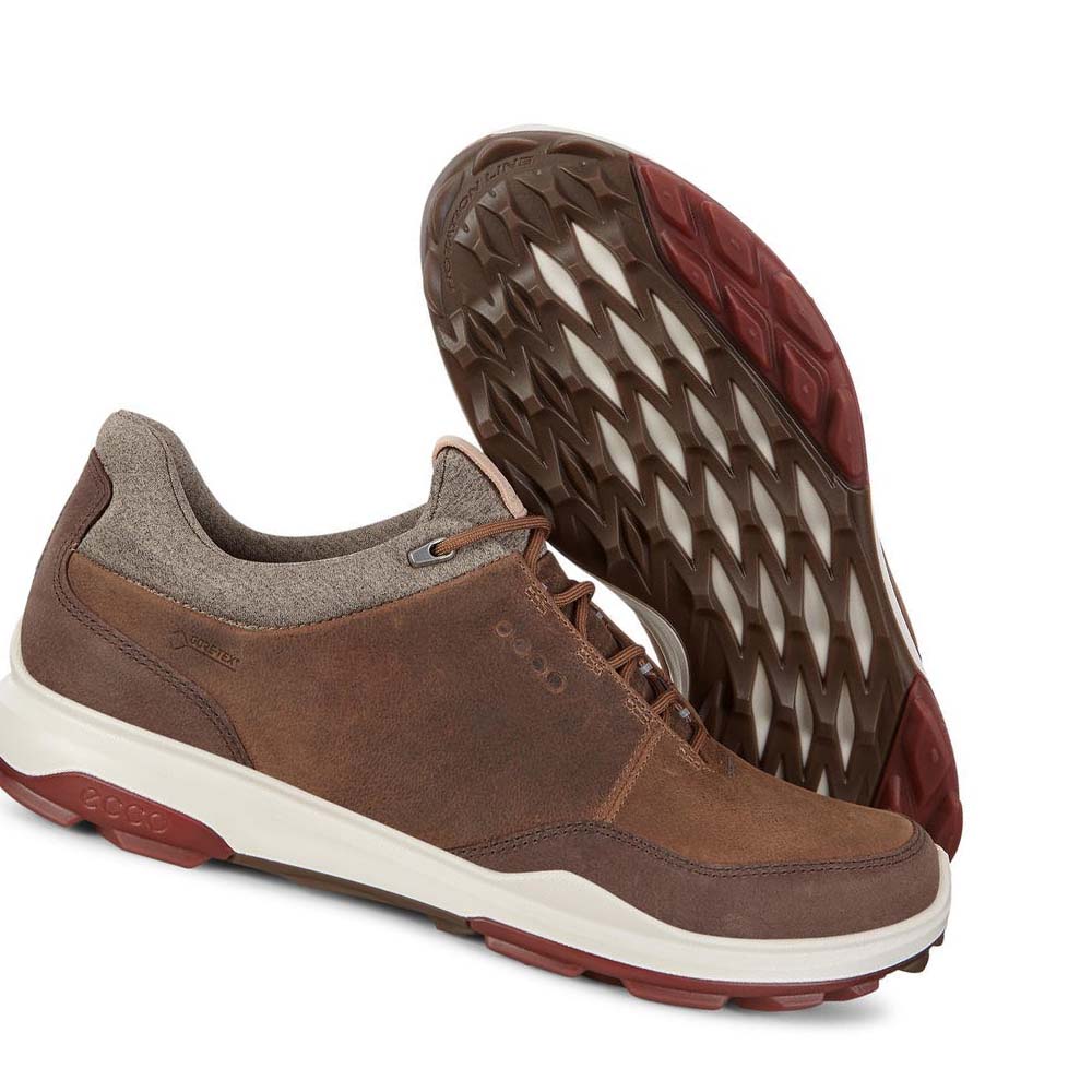 Férfi Ecco Mens Biom Hibrid 3 Gtx Golf Cipő Barna | HU 554TCE